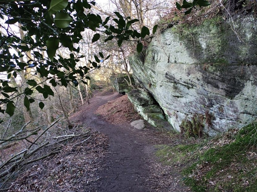Haven Wood Forest School Tent